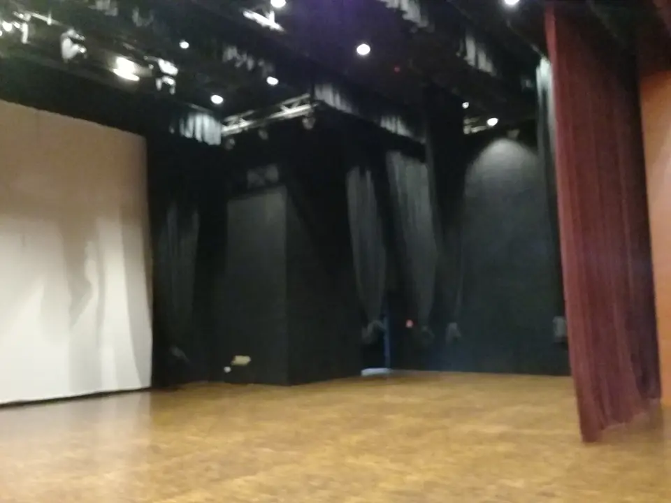 Large Auditorium Stage Curtains — stage curtain project photograph 7